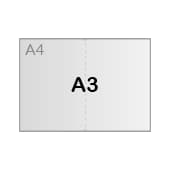 A3 (29,7 x 42 cm)