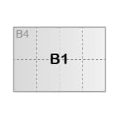 B1
